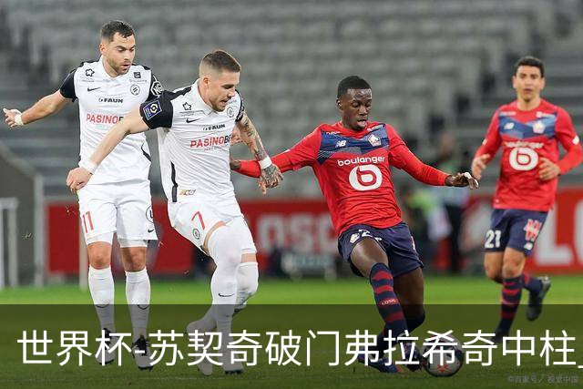 世界杯-苏契奇破门弗拉希奇中柱 克罗地亚半场1-0加纳