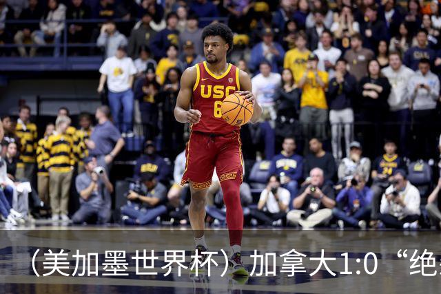 （美加墨世界杯）加拿大1:0“绝杀”南非 队史首进16强