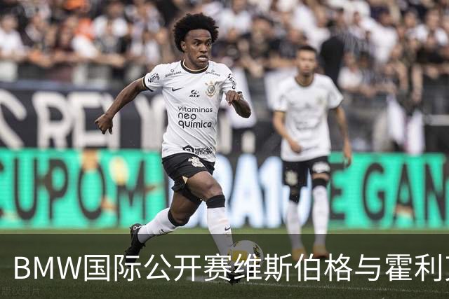 BMW国际公开赛维斯伯格与霍利克领先 吴阿顺T12